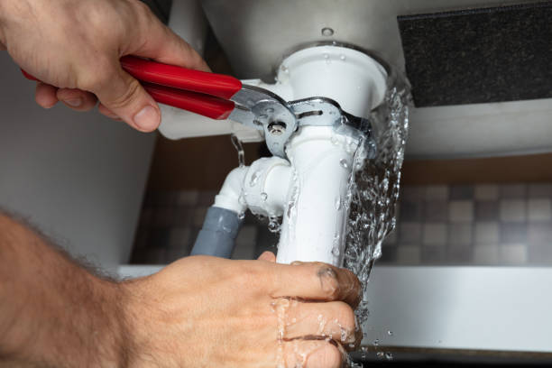 Best Sewage cleanup and water damage restoration  in Obion, TN