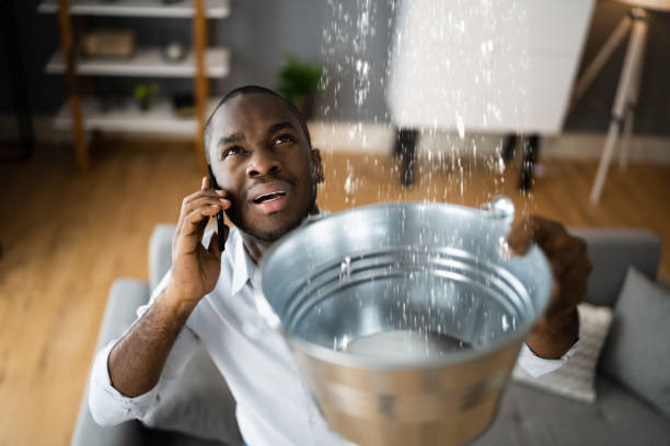 Best 24-hour water damage restoration  in Obion, TN