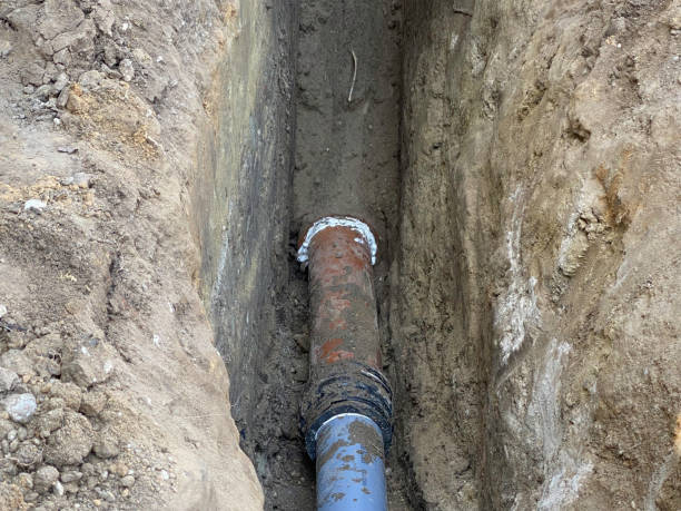 Best Flood restoration services  in Obion, TN