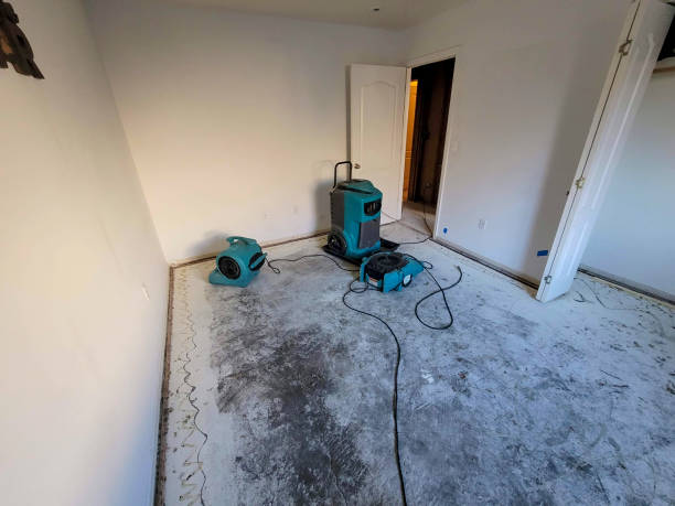 Best Water damage restoration near me  in Obion, TN
