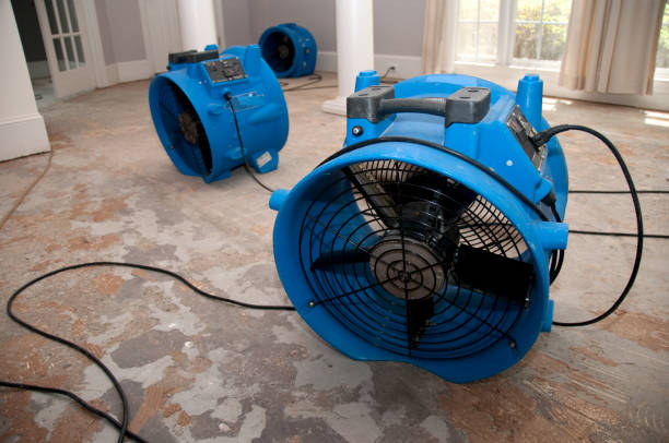  Obion, TN Water damage restoration Pros