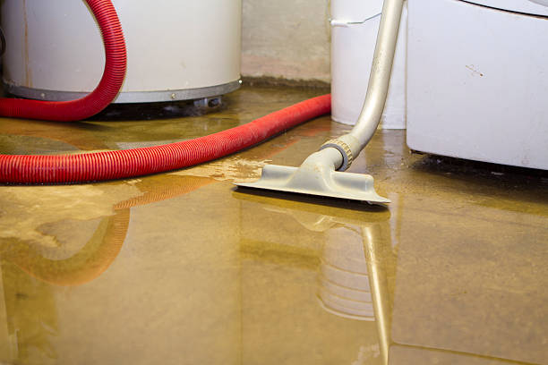 Best Commercial water damage restoration  in Obion, TN