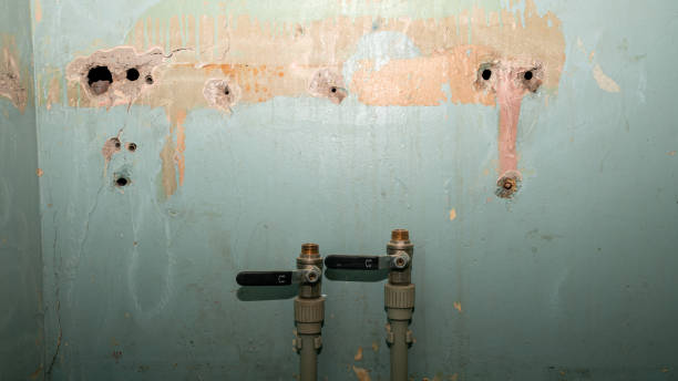 Best Mold removal after water damage  in Obion, TN