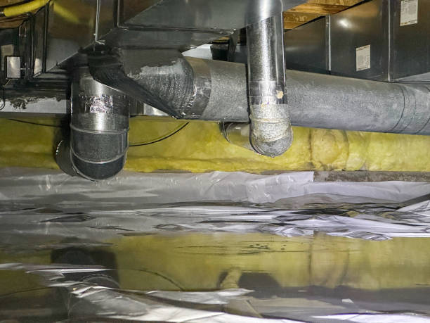 Best Commercial water damage restoration  in Obion, TN
