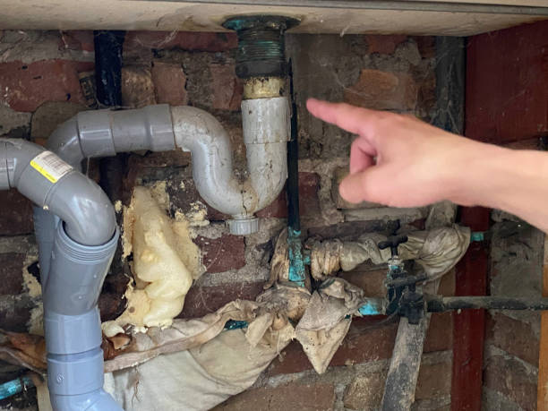 Best Commercial water damage restoration  in Obion, TN